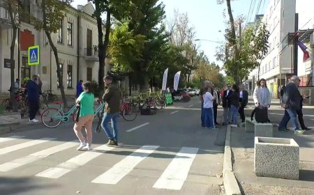 Evenimentul „O zi fără mașini”