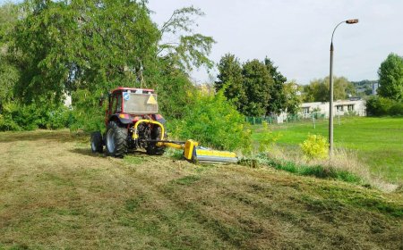 Adresăm cele mai sincere mulțumiri Preturii sectorului Rîșcani, în special domnului pretor Mihail Furculița și domnului vicepretor Dorin Ciurea, pentru sprijinul acordat în îmbunătățirea teritoriului liceului „Mihail Lomonosov”.