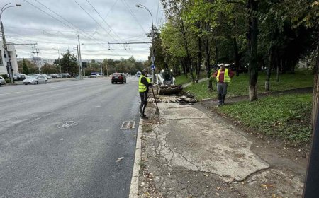 Start lucrărilor de reparaţie a trotuarului din str. Bogdan Voievod, partea pară, în perimetrul bd. Moscova – str. Florilor.