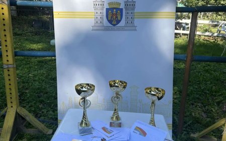 Competiții sportive la hipism!