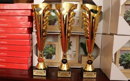 Concursul ,,Zâna Toamnei 2024”