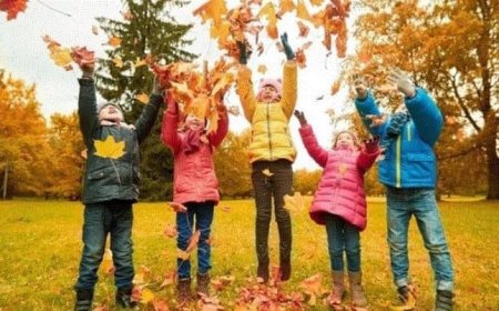 Siguranța copiilor în vacanța de toamnă.