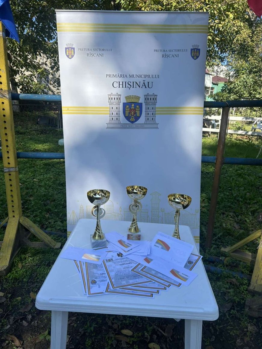 Competiții sportive la hipism!