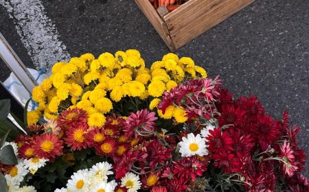 Târguri cu produse autohtone în sectoarele capitalei, în weekendul: 09 - 10 noiembrie 2024