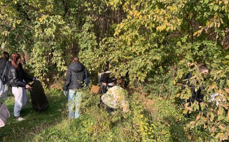 Pretura sectorului Rîșcani a desfășurat astăzi, 08.11.2024 acțiunea de salubrizare a  râulețului „Țiganca”