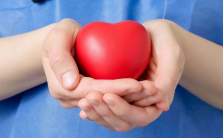 Pretura sectorului Rîșcani organizeză o nouă acțiune de donare de sânge care va avea loc în data de 20 noiembrie 2024.