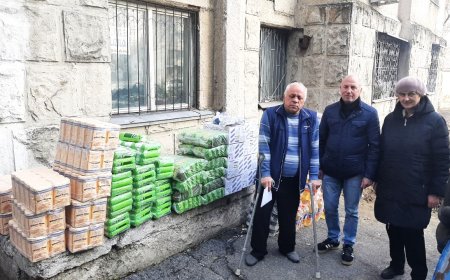 Ziua Internațională a Persoanelor cu Dezabilități, 03.12.2024.