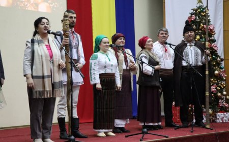 Feeria sarbatorilor de iarnă!