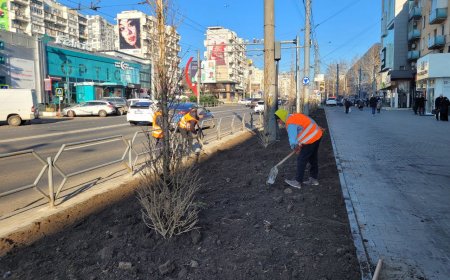 Amenajarea unei zone verzi în sectorul Rîșcani al Capitalei , str. Kiev, 14.