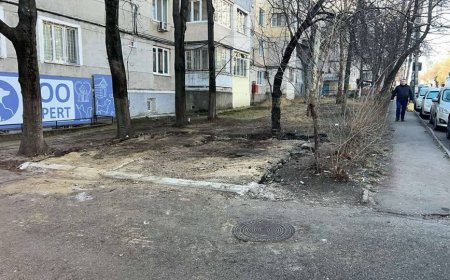 Demontarea și evacuarea parcării neautorizate cu eliberarea terenului municipal din str. Matei Basarab , 10.