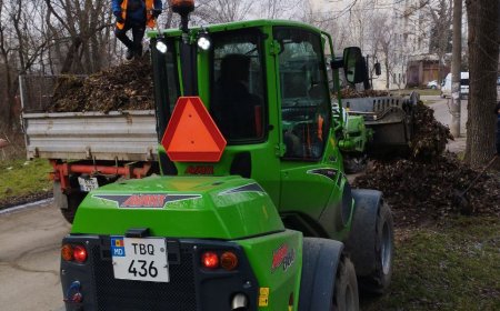 Salubrizarea în săptămână curentă. Unim eforturile pentru un sector îngrijit!