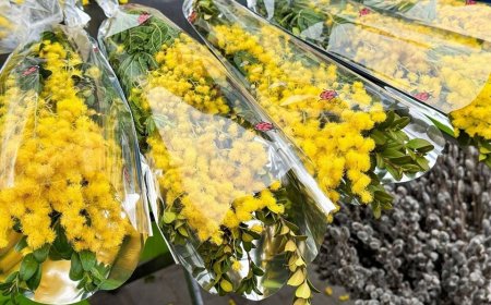 Locațiile autorizate pentru comercializarea mărțișoarelor, suvenirelor și a florilor de grădină pe teritoriul capitalei.