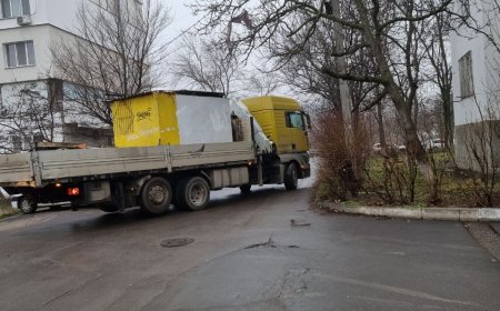 Demontarea și evacuarea gheretei din bd. Moscova 22/2 O gheretă demontată - un arbore nou plantat.