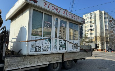 Demontarea și evacuarea gheretei din str. Socoleni 7/2.