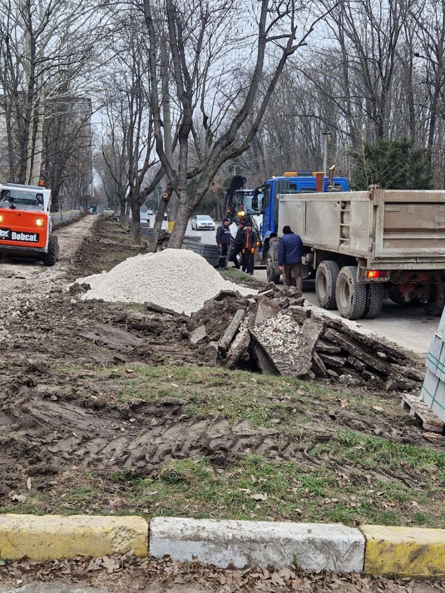 Astăzi, 07.02.2025, Comisia sanitară din cadrul Preturii și-a organizat activitatea în teren .