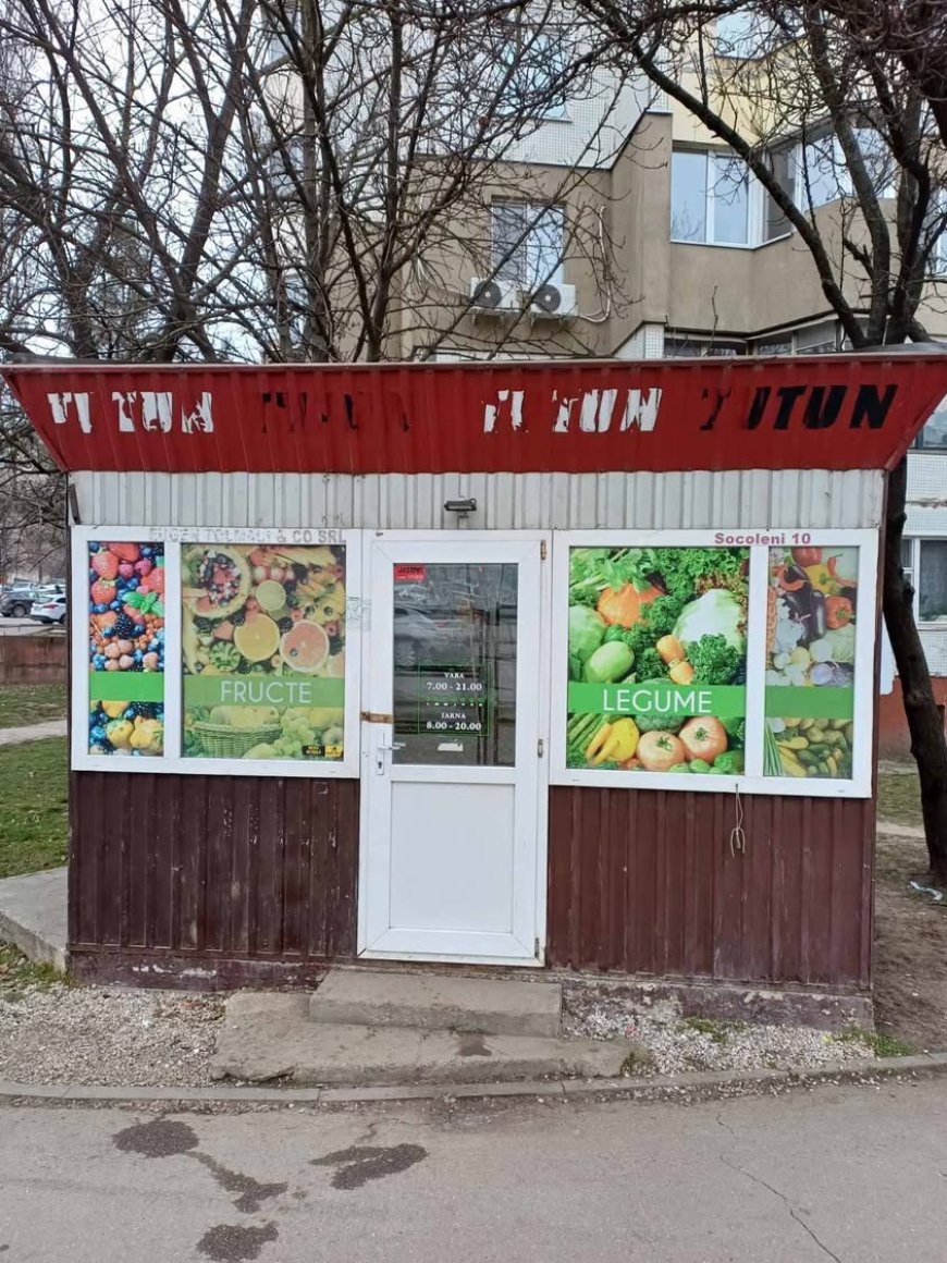 Un copac a mai câștigat dreptul la existență. Str. Socoleni, 10.