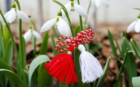 Colectivul Preturii sectorului Rîșcani vă  urează o primăvara frumoasă!