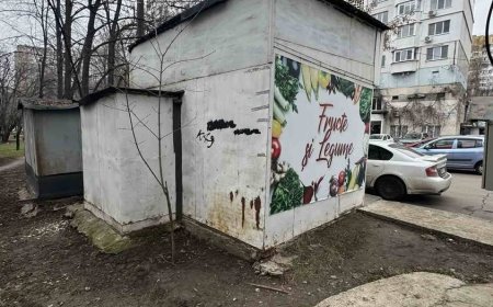 Salutăm conformarea!