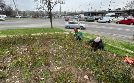 Primăria Chișinău informează că Î.M. „Asociația de Gospodărire a Spațiilor Verzi” continuă lucrările de primăvară.