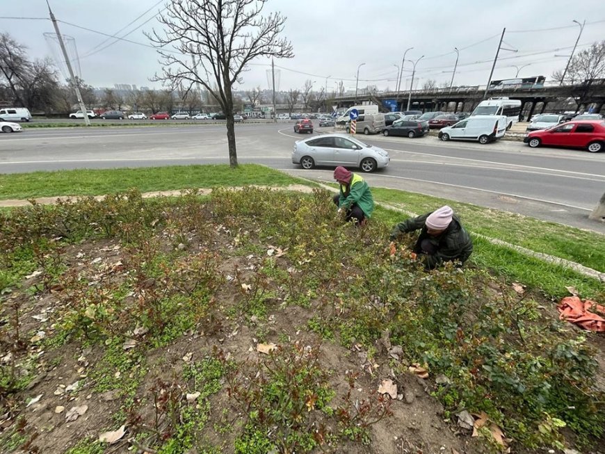 Primăria Chișinău informează că Î.M. „Asociația de Gospodărire a Spațiilor Verzi” continuă lucrările de primăvară.