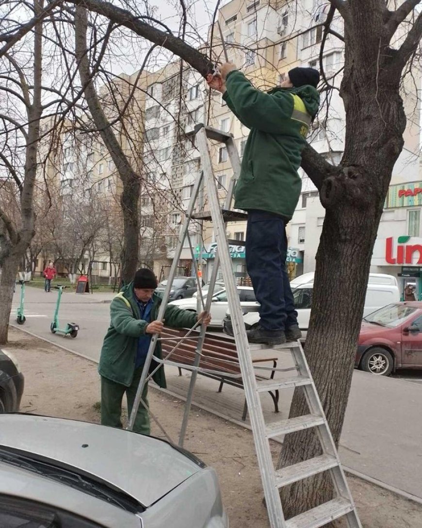 Primăria Chișinău informează că Î.M. „Asociația de Gospodărire a Spațiilor Verzi” continuă lucrările de primăvară.