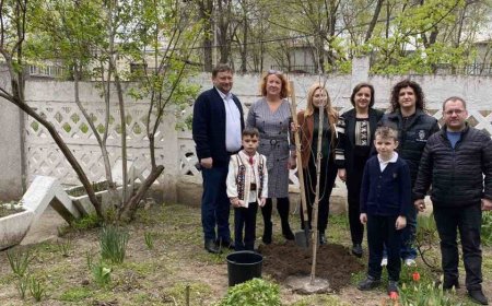 Pretura sectorului Rîșcani a desfășurat,astăzi, acțiunea de plantare a arborilor și arbuștilor la  L.T."Miguel de Cervantes Saavedra", str. Avram Iancu,36 și str. Grigore Ureche, 30