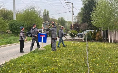 Acțiunea  de demontare și evacuare a bariere eliberând terenul proprietate publică.