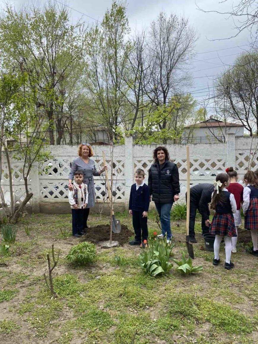 Pretura sectorului Rîșcani a desfășurat,astăzi, acțiunea de plantare a arborilor și arbuștilor la  L.T."Miguel de Cervantes Saavedra", str. Avram Iancu,36 și str. Grigore Ureche, 30