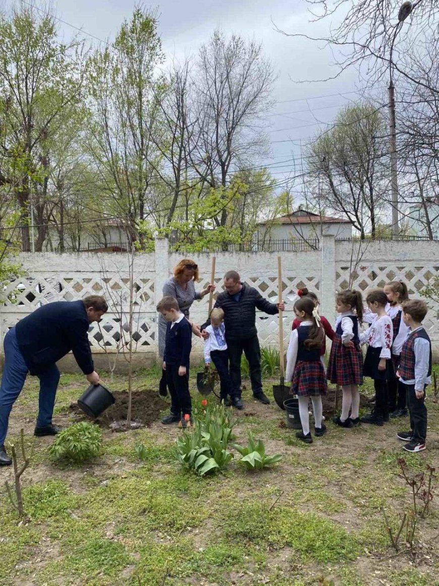 Pretura sectorului Rîșcani a desfășurat,astăzi, acțiunea de plantare a arborilor și arbuștilor la  L.T."Miguel de Cervantes Saavedra", str. Avram Iancu,36 și str. Grigore Ureche, 30