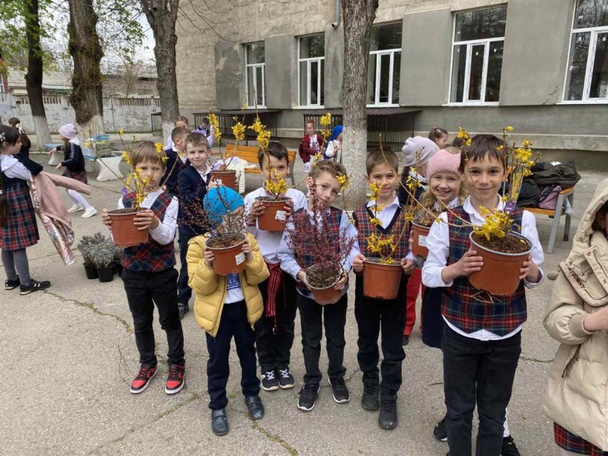 Pretura sectorului Rîșcani a desfășurat,astăzi, acțiunea de plantare a arborilor și arbuștilor la  L.T."Miguel de Cervantes Saavedra", str. Avram Iancu,36 și str. Grigore Ureche, 30