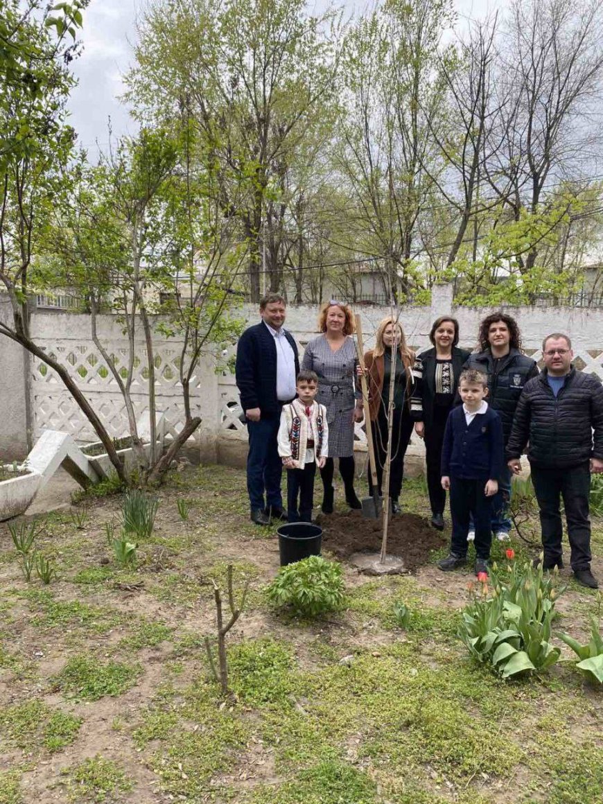 Pretura sectorului Rîșcani a desfășurat,astăzi, acțiunea de plantare a arborilor și arbuștilor la  L.T."Miguel de Cervantes Saavedra", str. Avram Iancu,36 și str. Grigore Ureche, 30