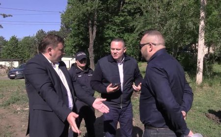 În Scuarul „Nicolae Dimo”, 7/3, unde, în noaptea de 8 spre 9 mai, au fost defrișați, într-un act grav de vandalism, 40 de copaci plantați de Primăria Chișinău.