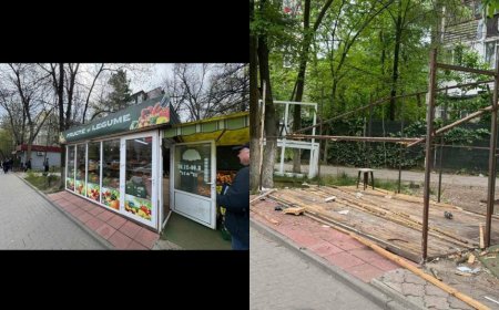 Demontarea și evacuarea benevolă a gheretei  din str. Miron Costin 6/1