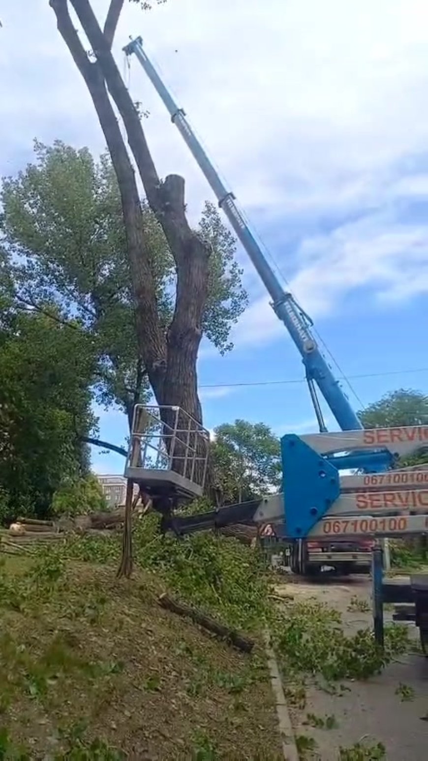 În sectorul Rîșcani astăzi, s-au efectuat lucrările de tăiere și defrișare a vegetației forestiere