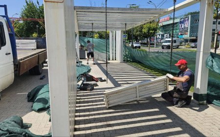 Renovarea leagănelor de pe aleea „Grigore Vieru”