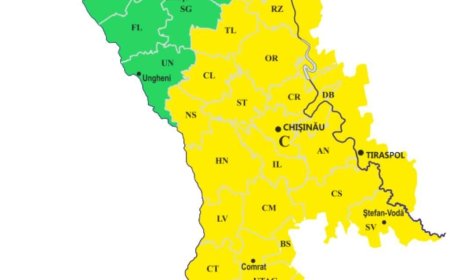 COD GALBEN DE CANICULĂ!!!