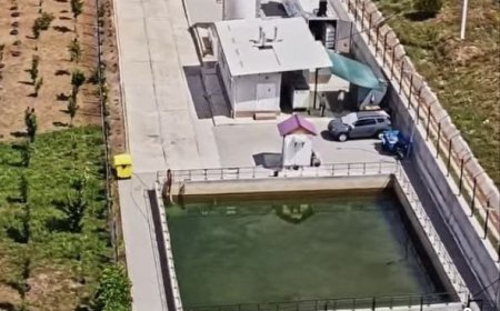 „Chișinăul meu. Istorii urbane”. Cel mai mare proiect de gestionare a deșeurilor din țară.