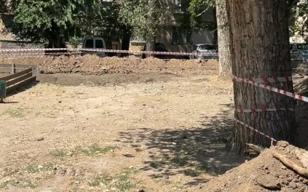 În zeci de curți de bloc din toate sectoarele, realizăm lucrări de reparații și amenajare.