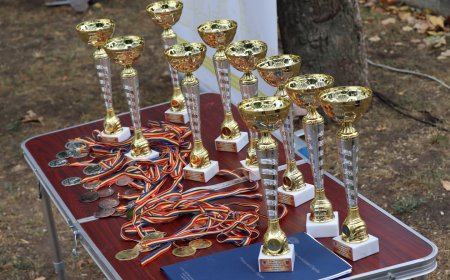 În acest week-end, în pădurea - parc „Dumitru Rîșcanu”, a avut loc Turneul la lupte pe plajă destinat categoriilor de vârstă U-15 și U-17.