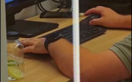 Ești tânăr? Atunci accesează și descoperă proiectele și programele create special pentru tine