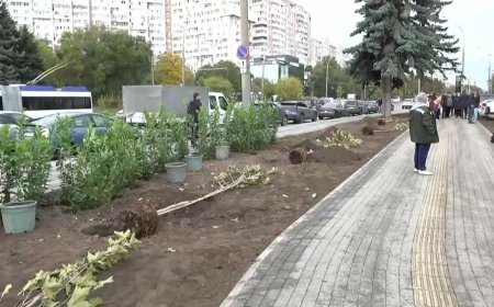 Primarul General, Ion Ceban, participă la acțiunea de plantare a arborilor pe bd. Dacia, sectorul Botanica