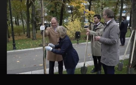 Plantarea arborilor decorativi cu participarea ambasadorilor acreditați în Republica Moldova și a reprezentanților organizațiilor internaționale