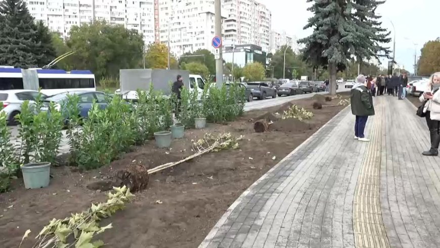 Primarul General, Ion Ceban, participă la acțiunea de plantare a arborilor pe bd. Dacia, sectorul Botanica