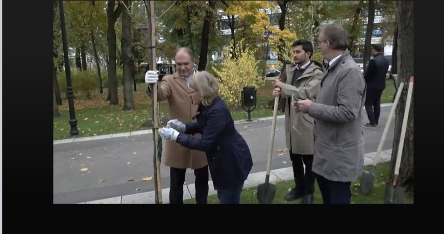 Plantarea arborilor decorativi cu participarea ambasadorilor acreditați în Republica Moldova și a reprezentanților organizațiilor internaționale