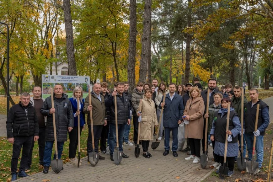 Astăzi pe strada Nicolae Dimo, în perimetrul Alecu Russo - Parcul „Șipca” au fost sădiți 85 de platani cu balot.