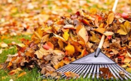 INVITAȚIE! Salubrizarea albiei râului „Țiganca”