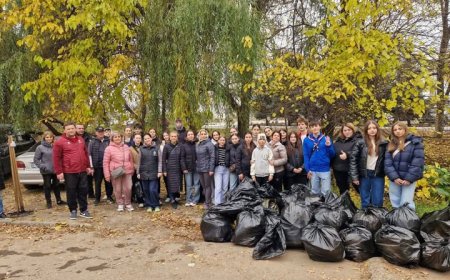 Curățenia de toamnă continuă: Râulețul Țiganca