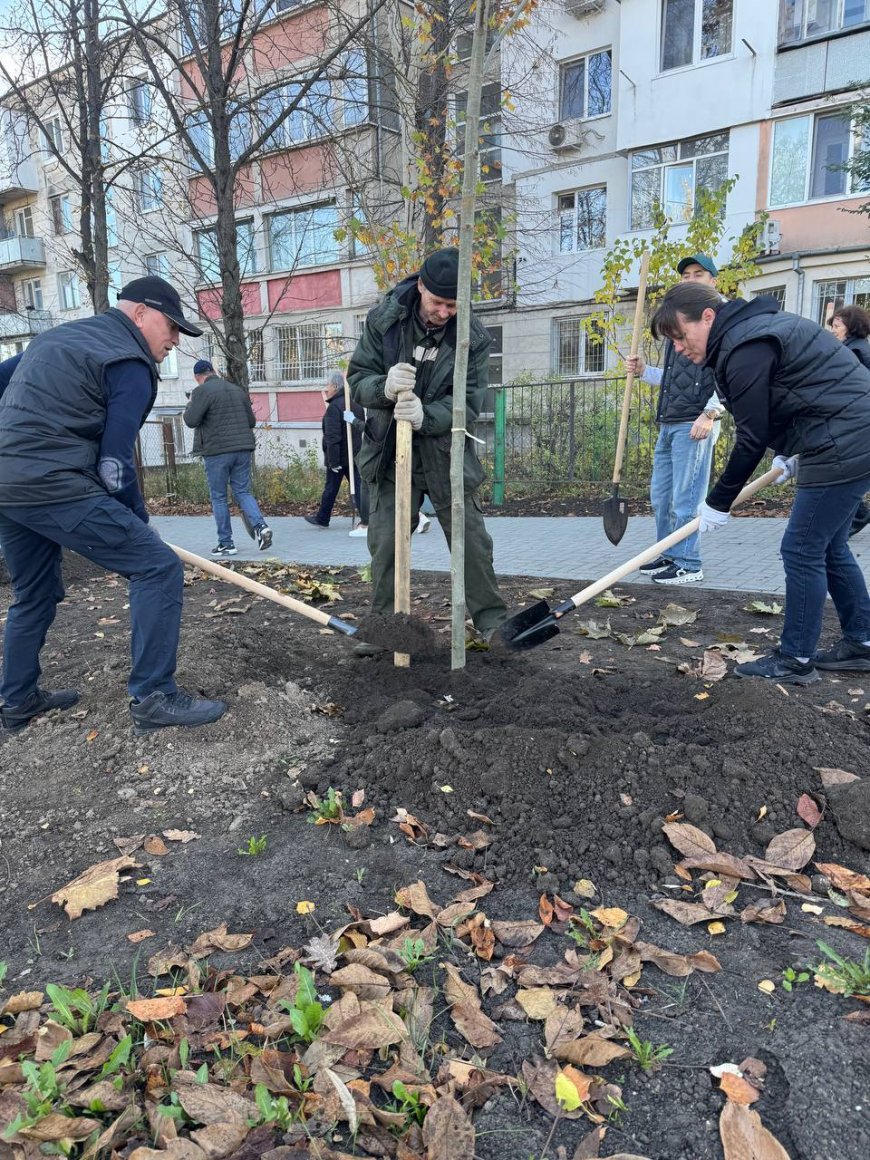 O nouă acțiune de plantare în sectorul Rîșcani.