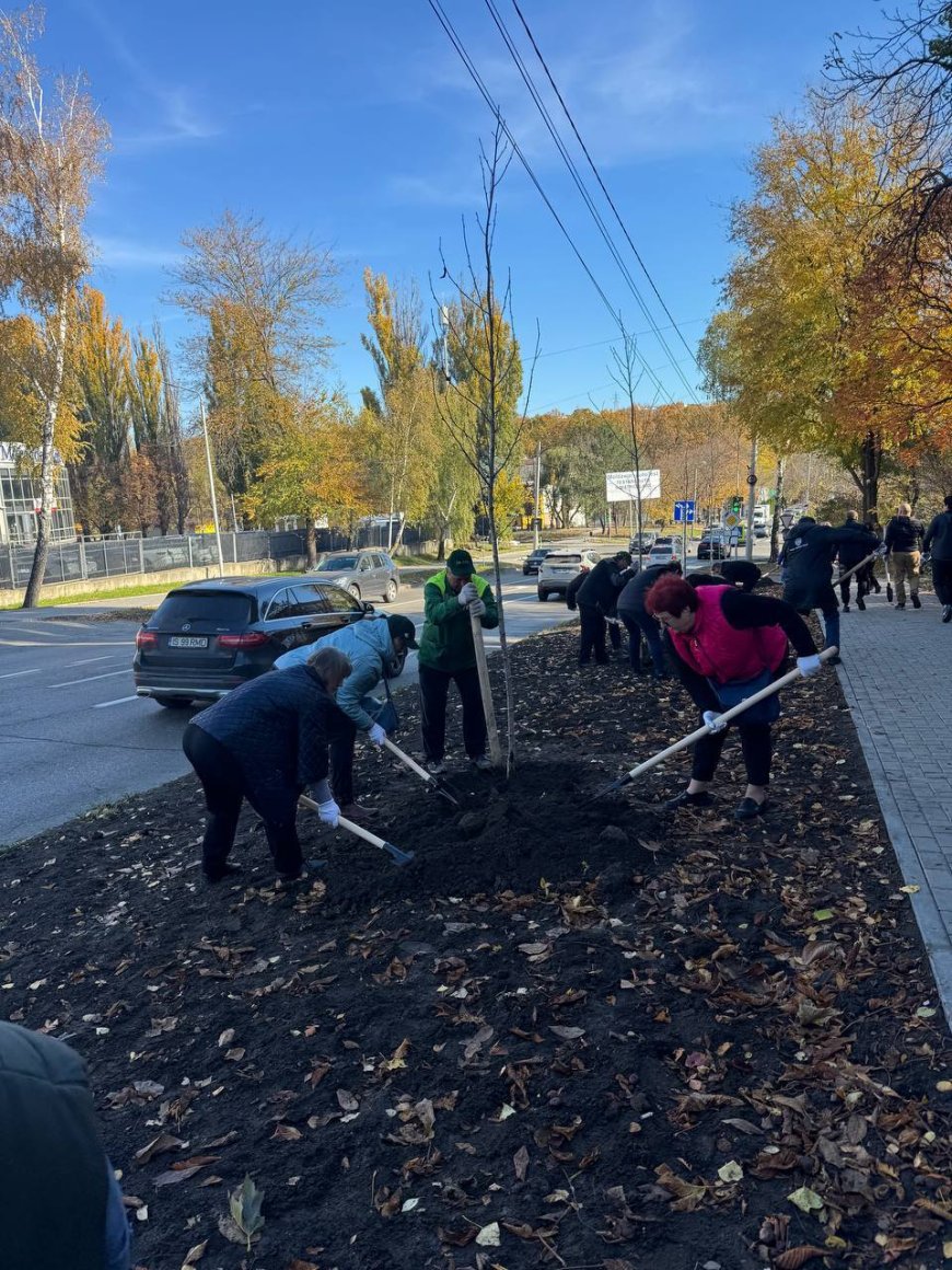 O nouă acțiune de plantare în sectorul Rîșcani.