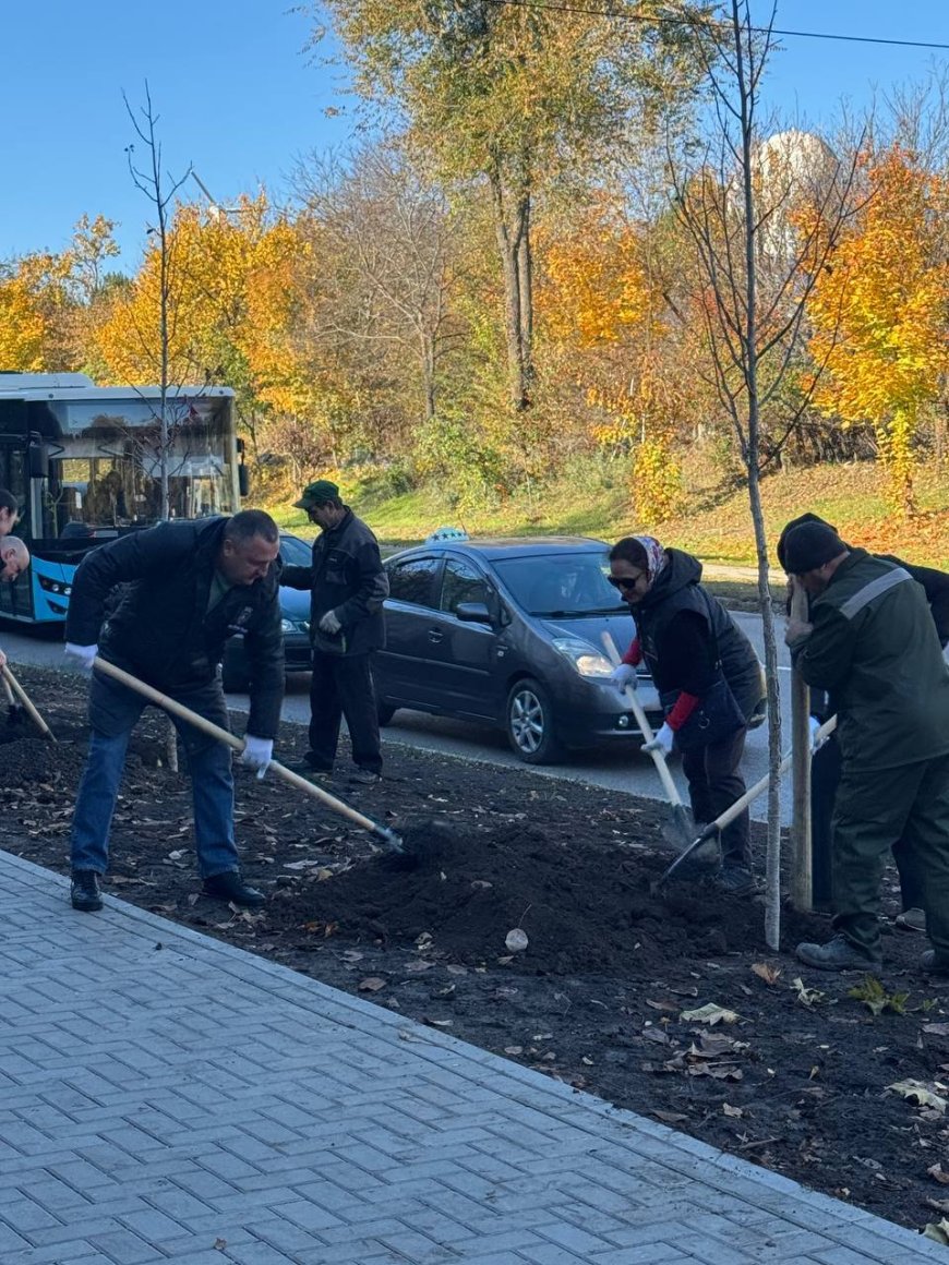 O nouă acțiune de plantare în sectorul Rîșcani.